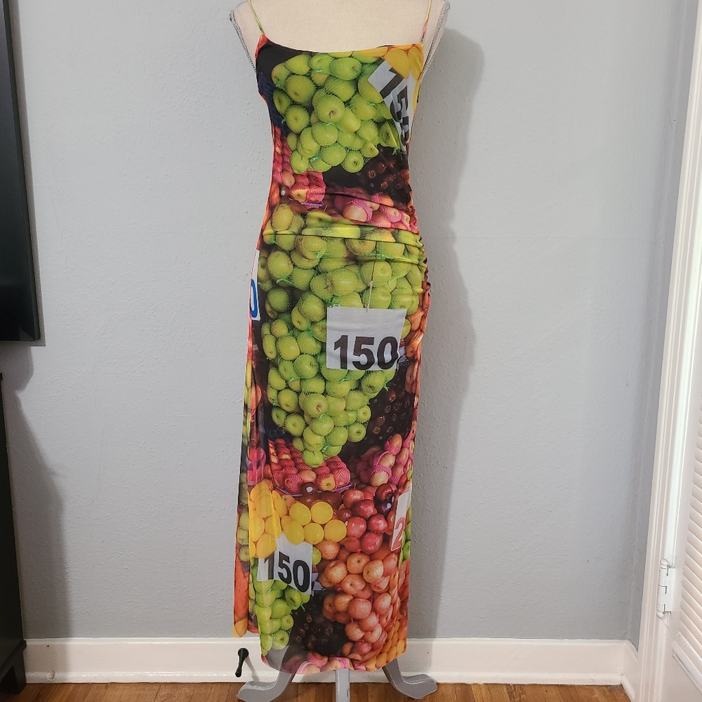 Zara Ruched Mesh Colorful Fruit Stand Print Dress NWT Size Med